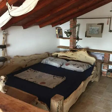 Sinemoria Sinemoretz